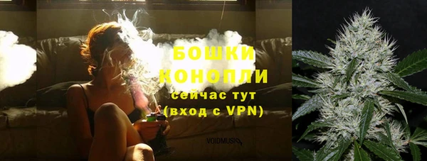 прущие грибы Баксан